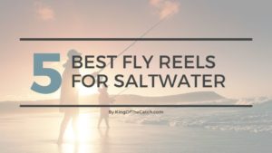 Best Fly Fishing Reels of 2020 