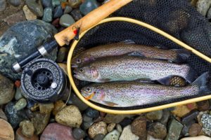 fishing in scotland