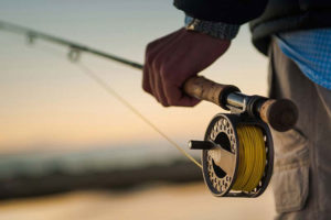 Best Fly Reels For Saltwater – Beaches, Boats & Big Fish!