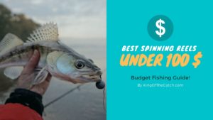 Best Spinning Reels Under 100