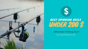 best spinning reels under 200