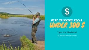 best spinning reels under 300