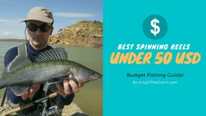 best spinning reel under 50