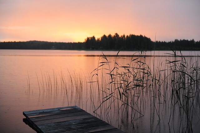 salmon fishing sweden