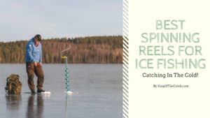 Best Spinning Reels For Ice Fishing