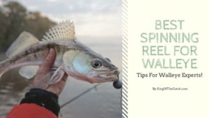 spinning reels for walleye