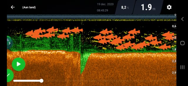 deeper fish finder review
