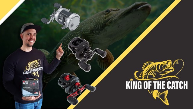 best baitcaster reel