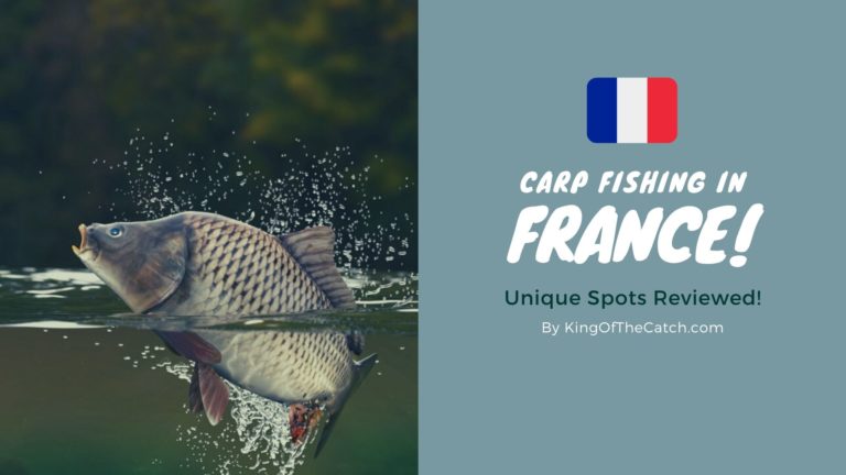 carp fishing in france