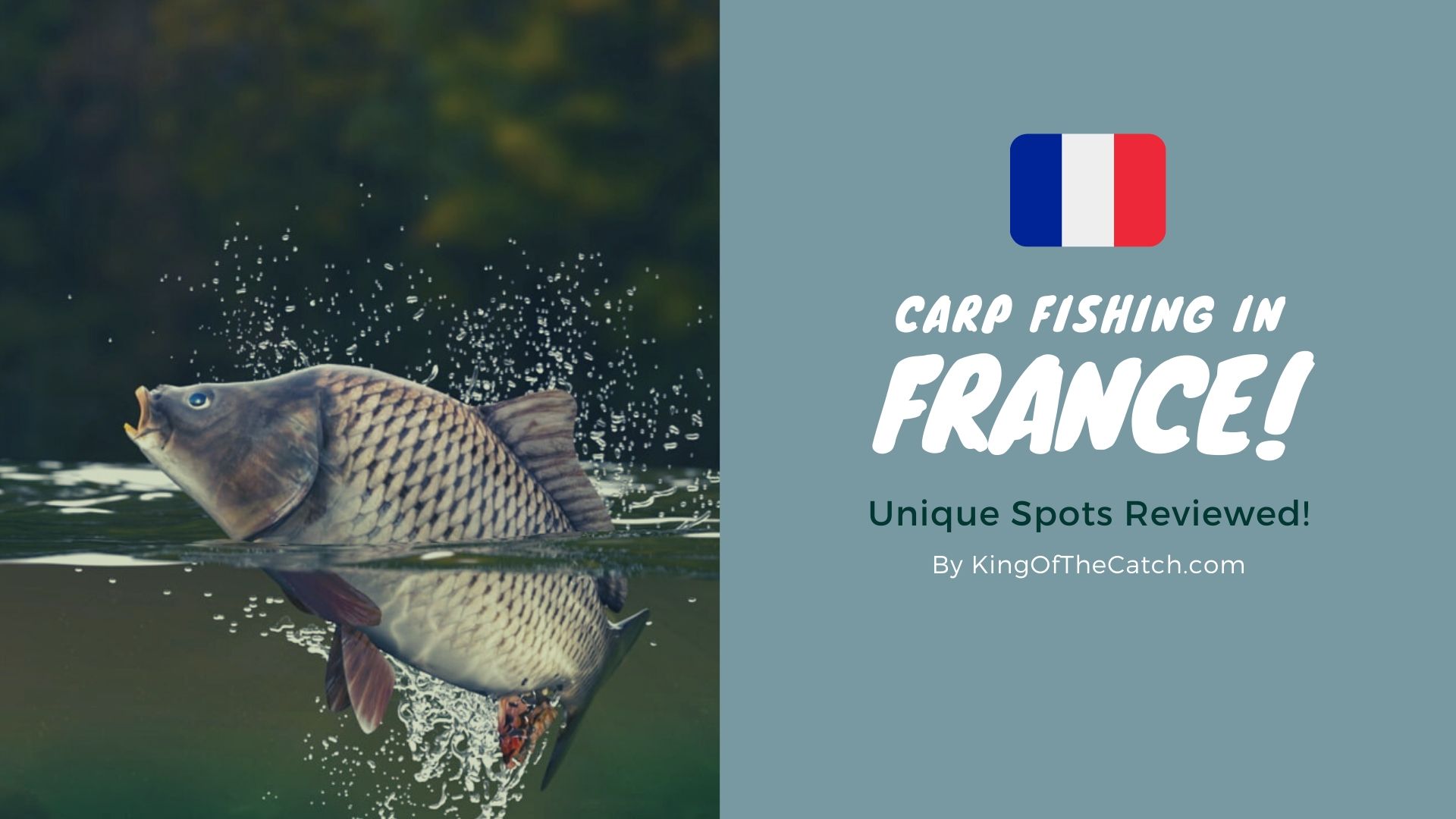 carp fishing in france