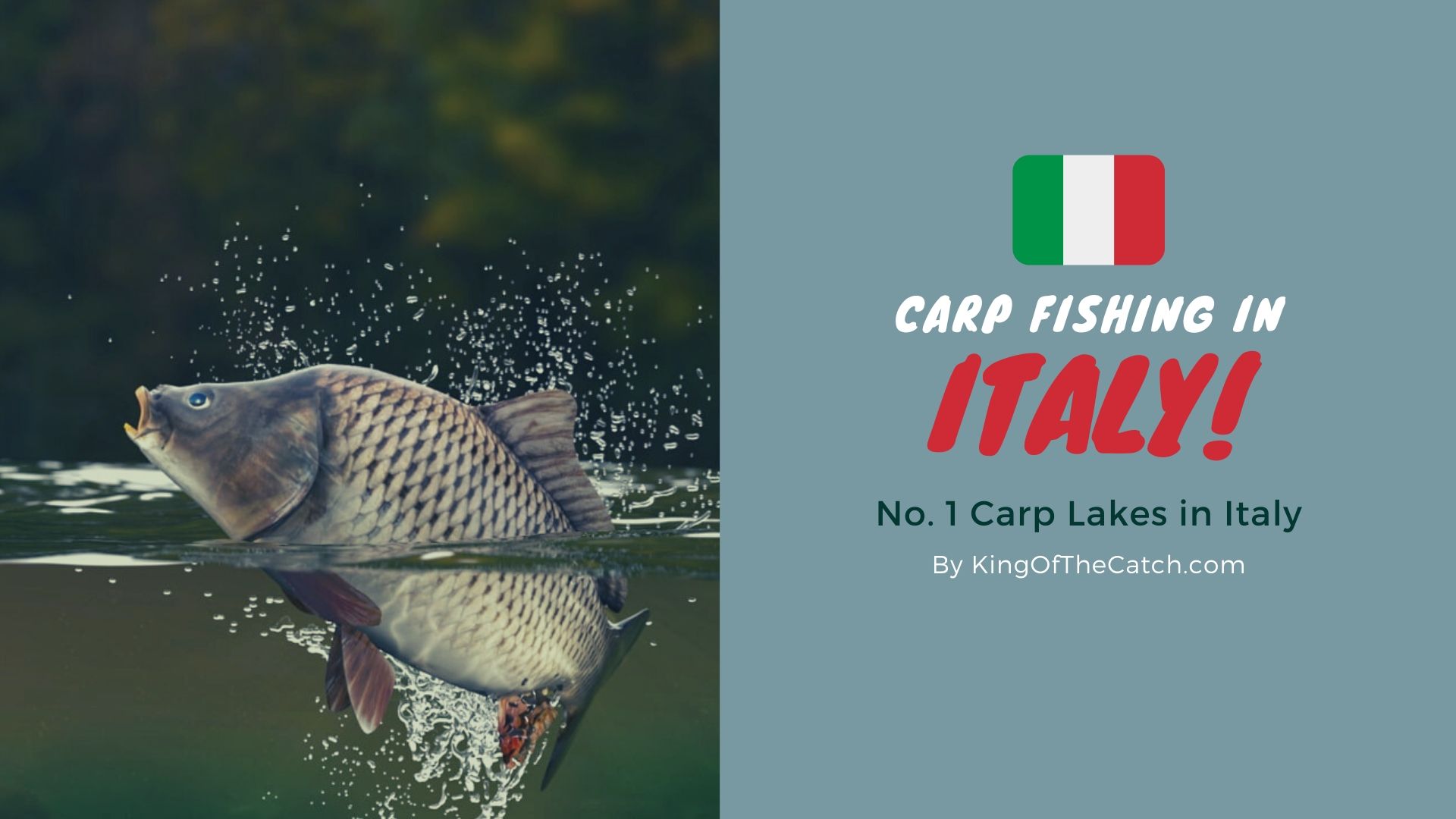 carp fishing italy