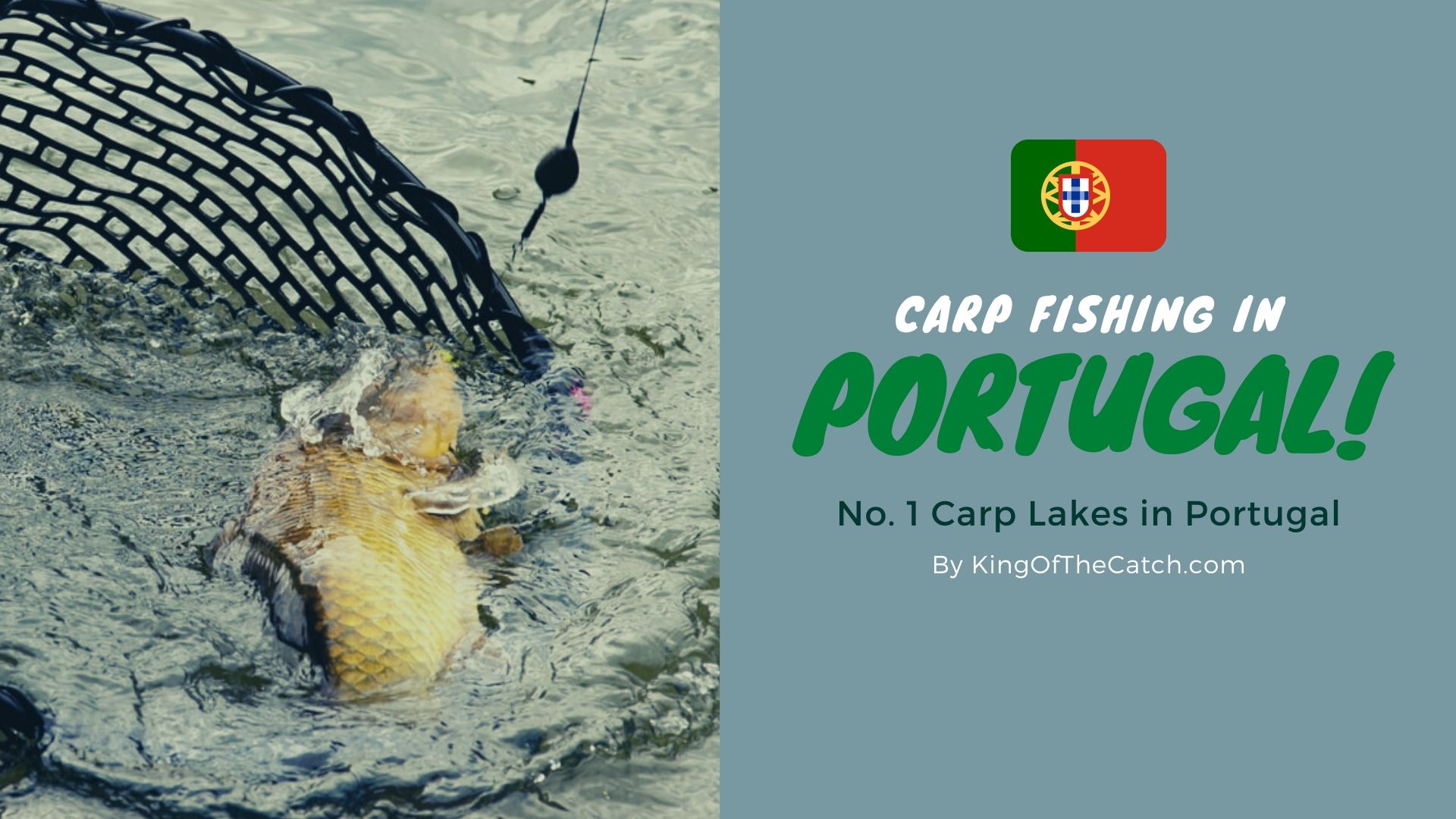 carp fishing portugal