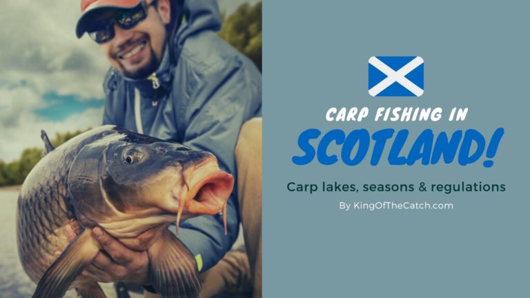 carp fishing in scotland