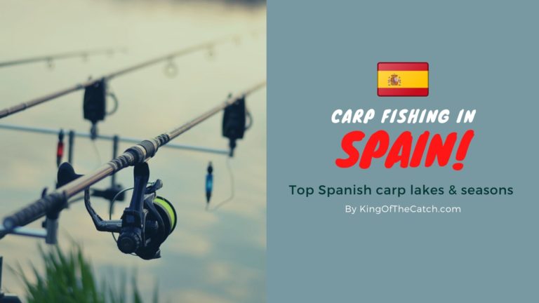 carp fishing spain