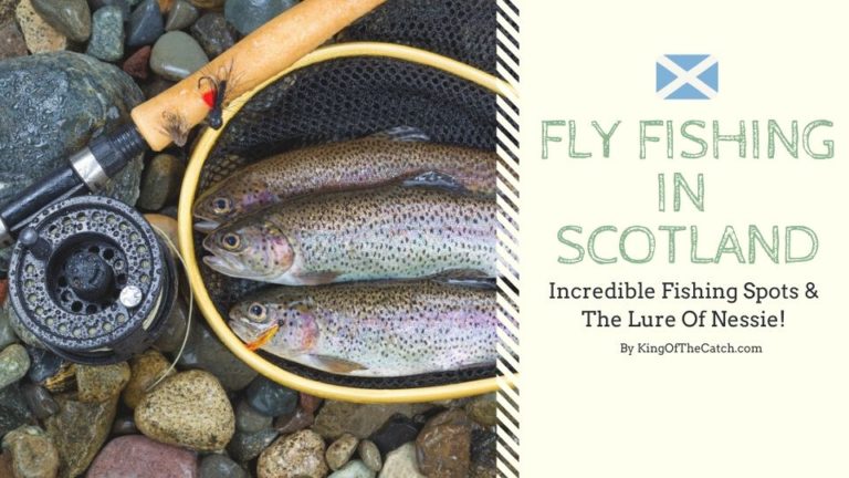 fly fishing scotland