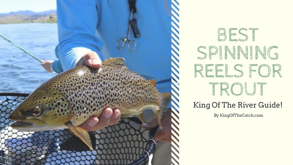 best spinning reels for trout