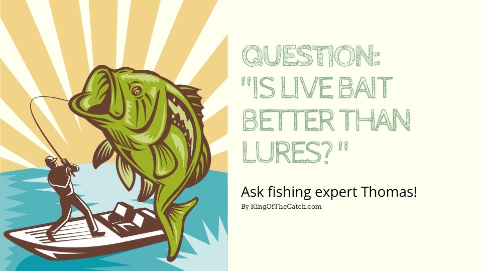 Is live bait better than lures
