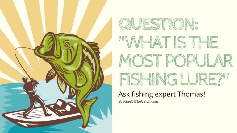 What is the most popular fishing lure?
