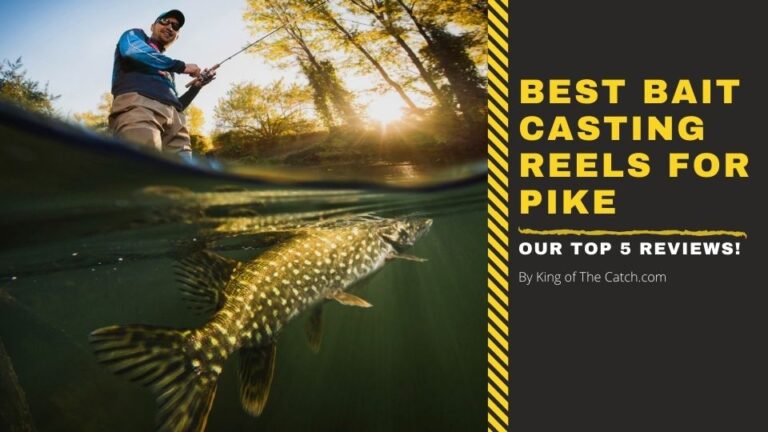 best reel for pike fishing