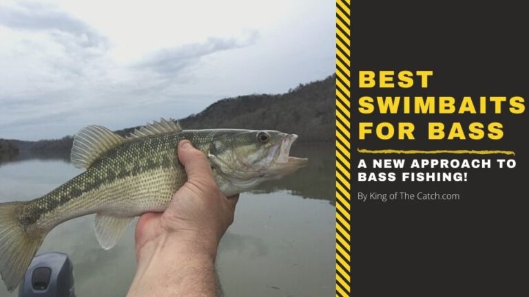 best swimbaits for bass