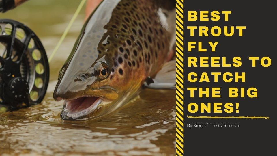 best trout fly reels