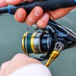 What Is The Best Gear Ratio For A Fishing Reel?