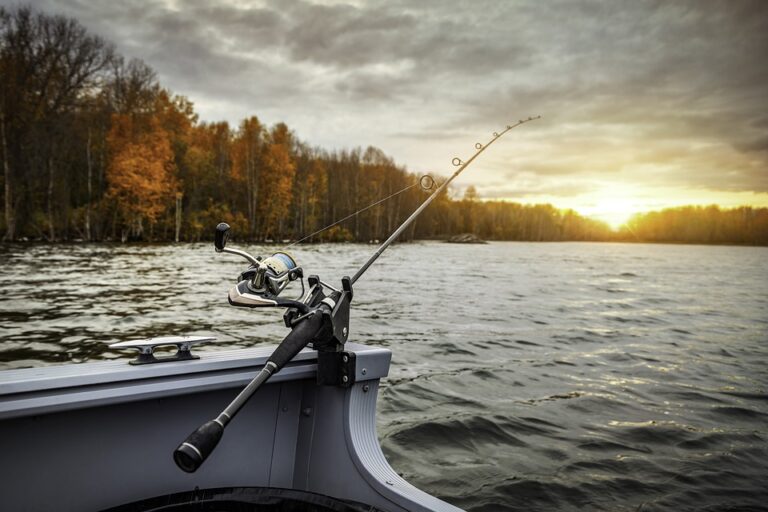 How Do I Choose The Right Action For My Fishing Rod